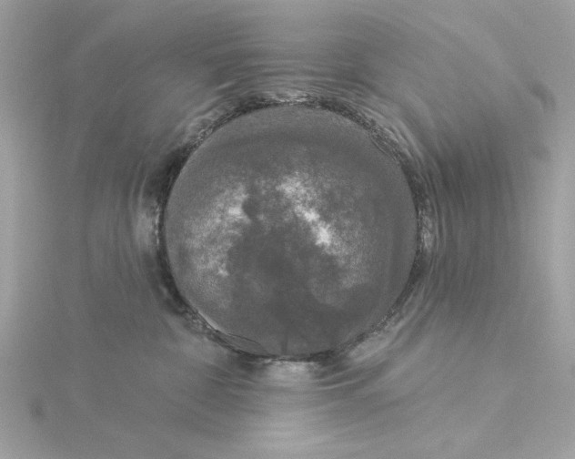 X0000116030332200912041940