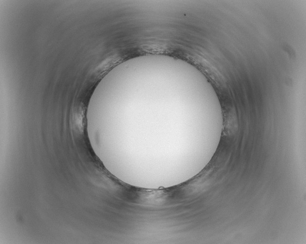 X0000116030334200912041940