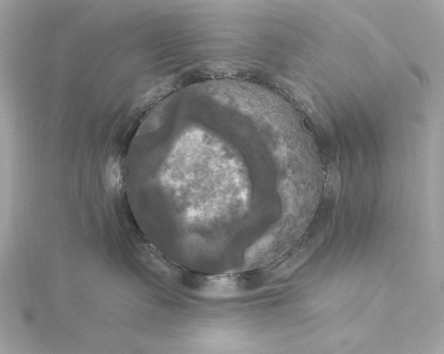 X0000116030335200912041940