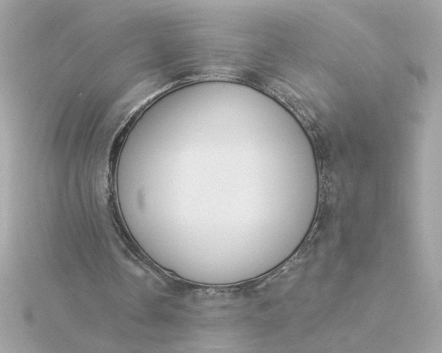 X0000116030338200912041939