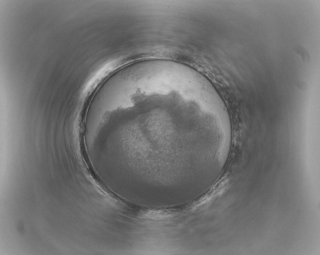 X0000116030341200912041939