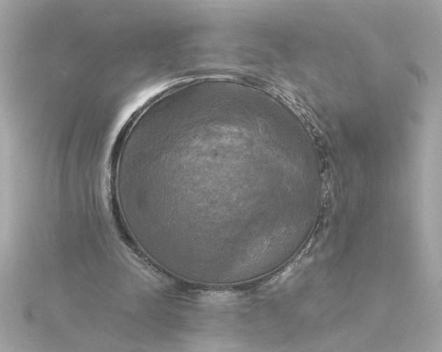 X0000116030342200912041939