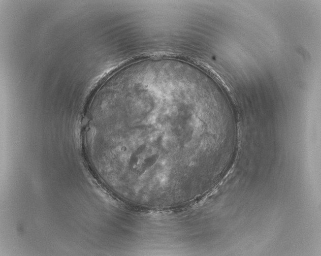 X0000116030345200912041939