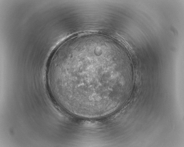 X0000116030346200912041939