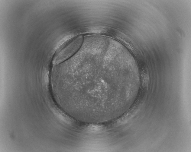 X0000116030350200912041939