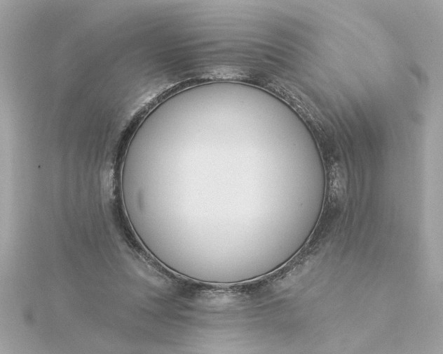 X0000116030351200912041939