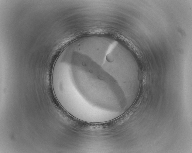 X0000116030353200912041939