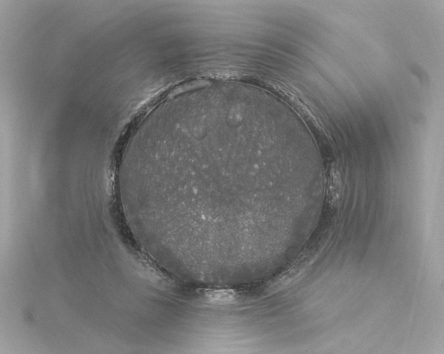 X0000116030355200912041939