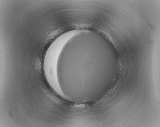 X0000116030357200912041939