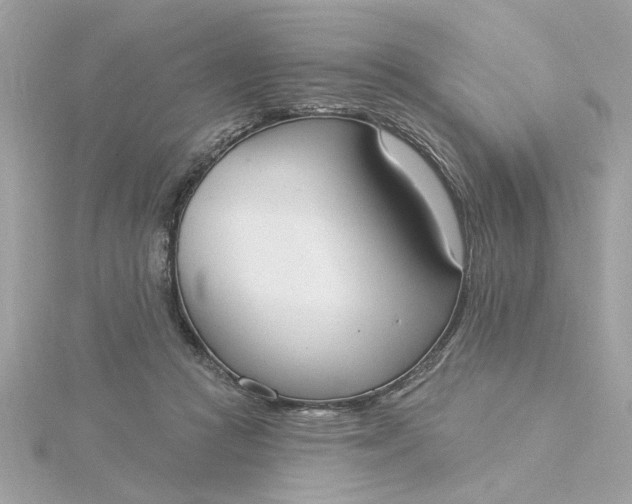 X0000116030361200912041939