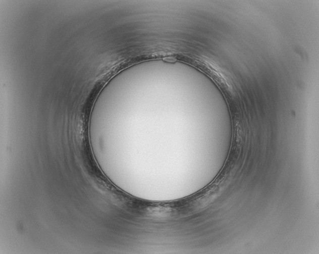 X0000116030362200912041939