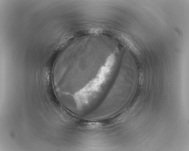 X0000116030363200912041939