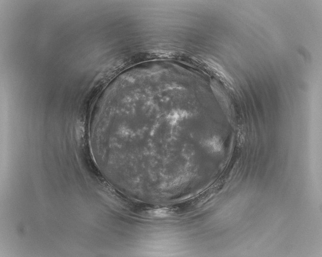 X0000116030365200912041939