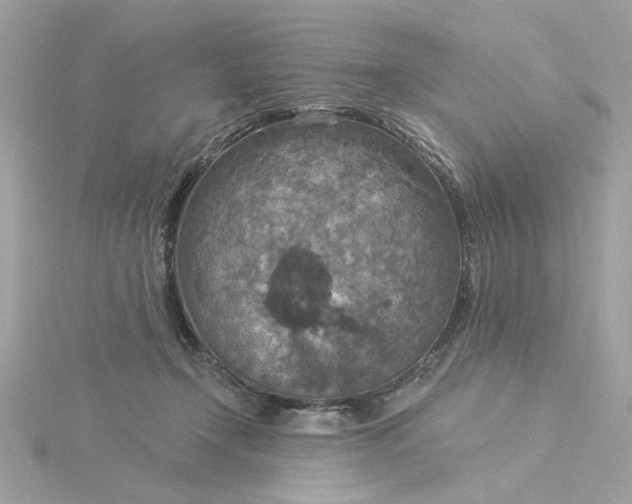 X0000116030366200912041939