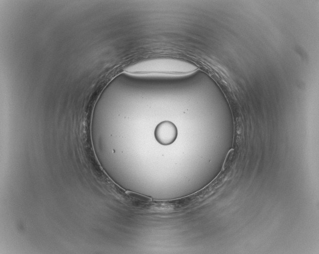 X0000116030369200912041939