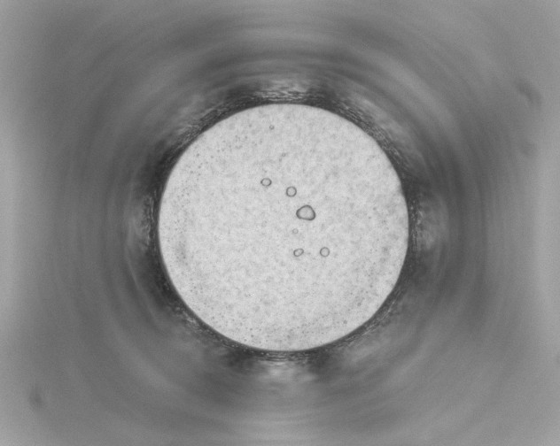 X0000116030370200912041939