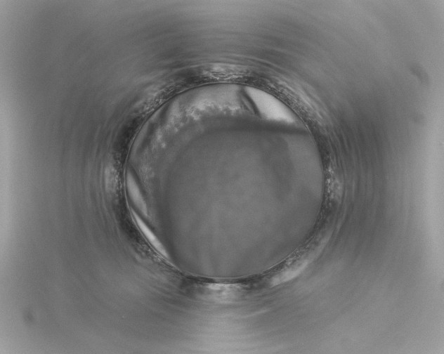 X0000116030371200912041939