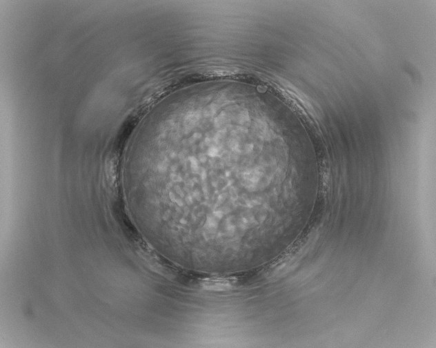 X0000116030373200912041939