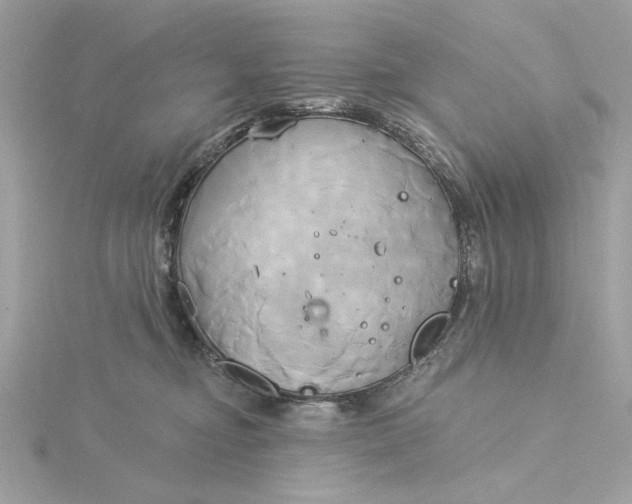 X0000116030374200912041939