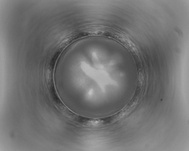 X0000116030375200912041939