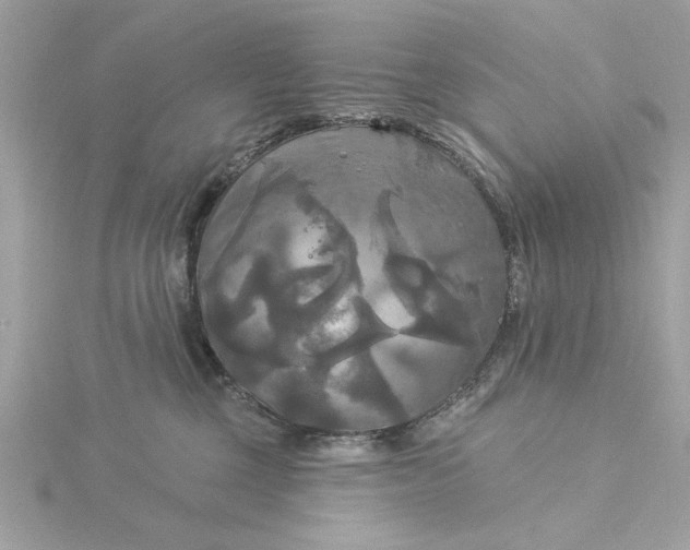 X0000116030377200912041939