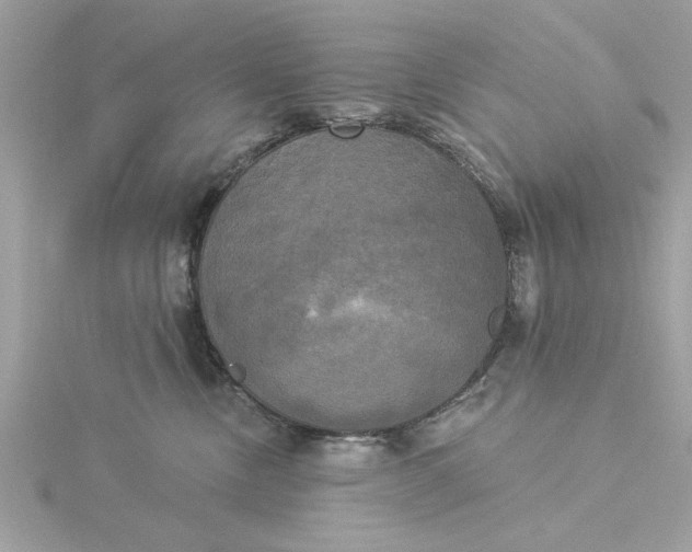 X0000116030378200912041940