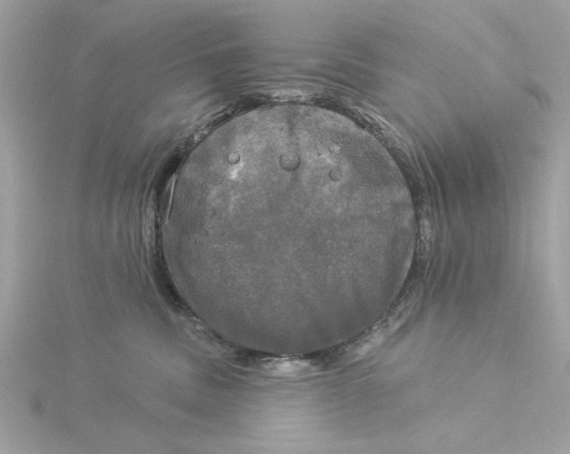 X0000116030379200912041940