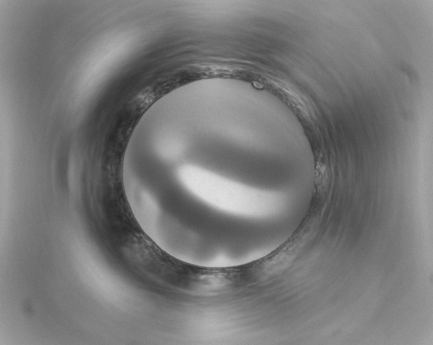 X0000116030381200912041940