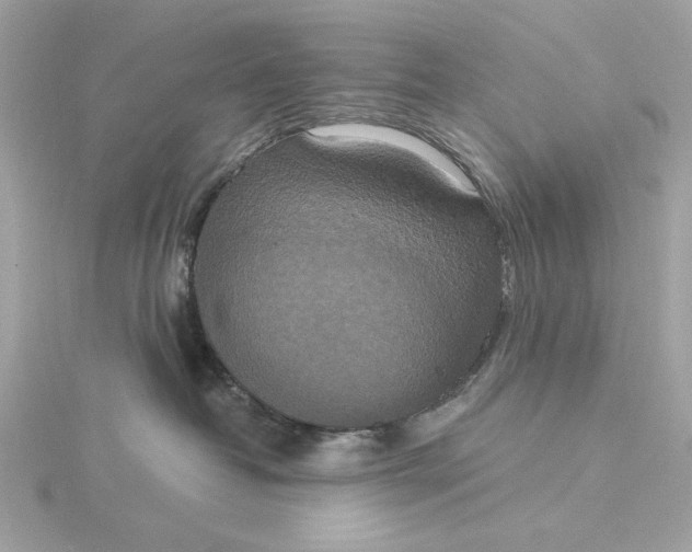 X0000116030382200912041940