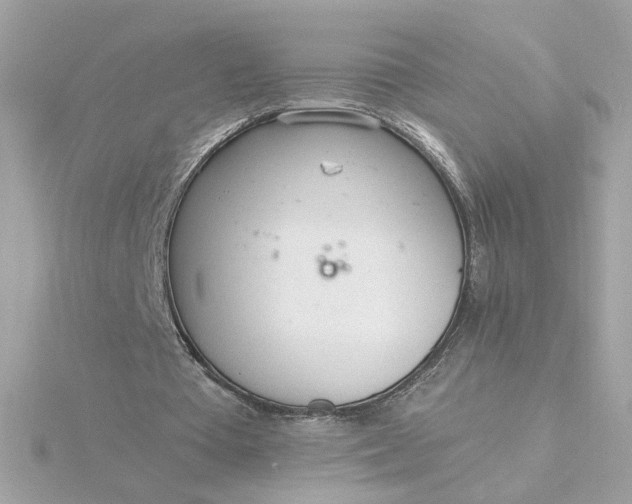 X0000116030385200912041939