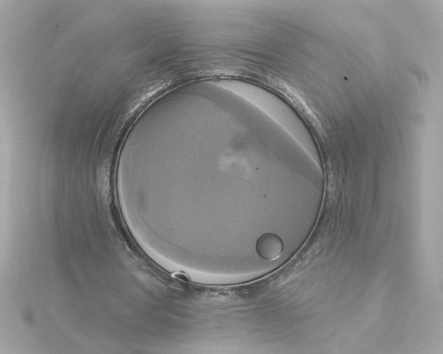 X0000116030386200912041939