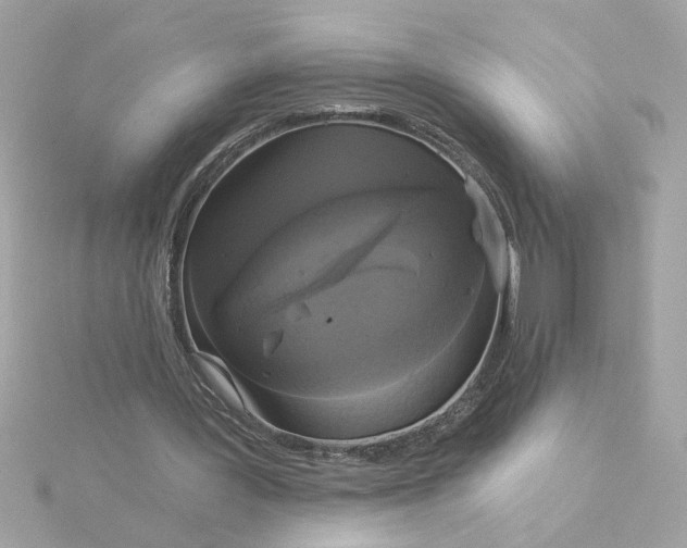 X0000116030387200912041939