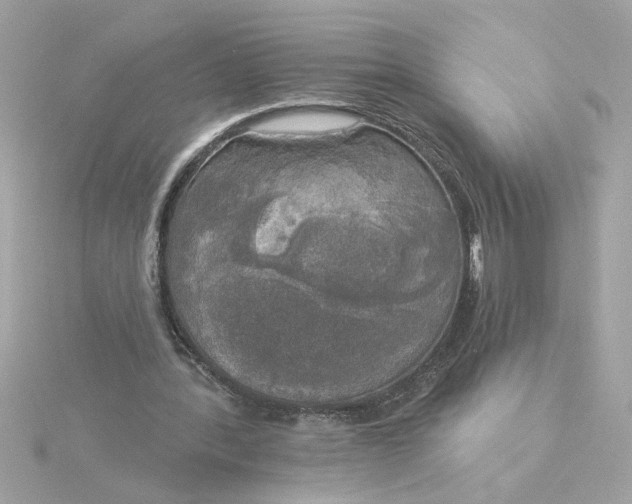 X0000116030388200912041939