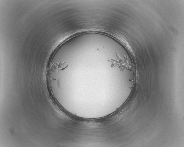 X0000116030389200912041939