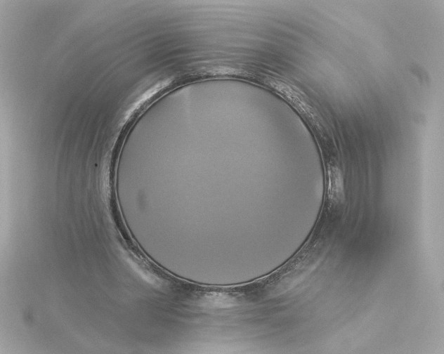 X0000116030390200912041939