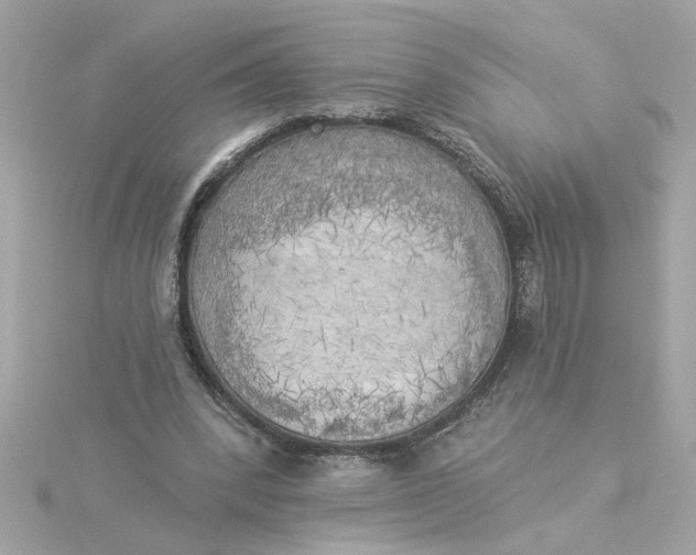 X0000116030392200912041939