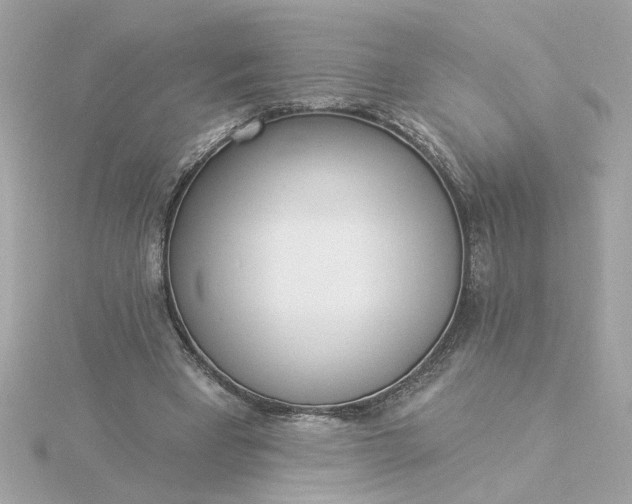 X0000116030393200912041939