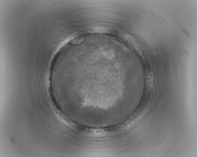 X0000116030395200912041939