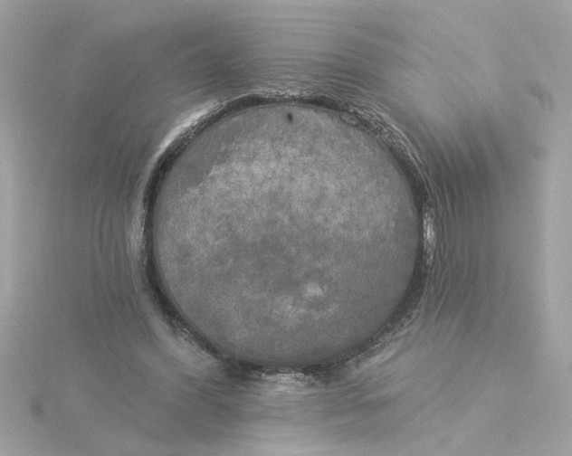 X0000116030396200912041939