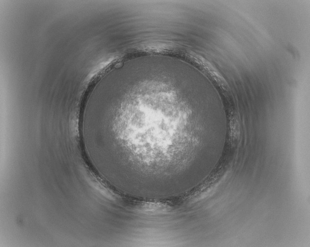 X0000116030399200912041939