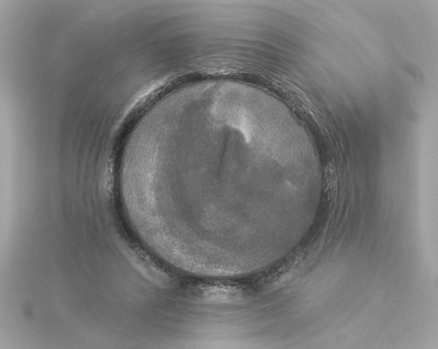 X0000116030400200912041939