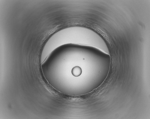 X0000116030401200912041939