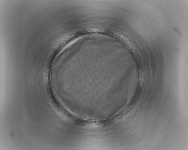 X0000116030402200912041939