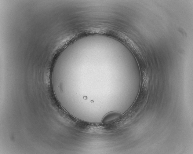 X0000116030403200912041939