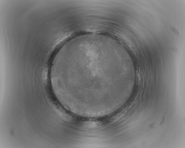 X0000116030404200912041939