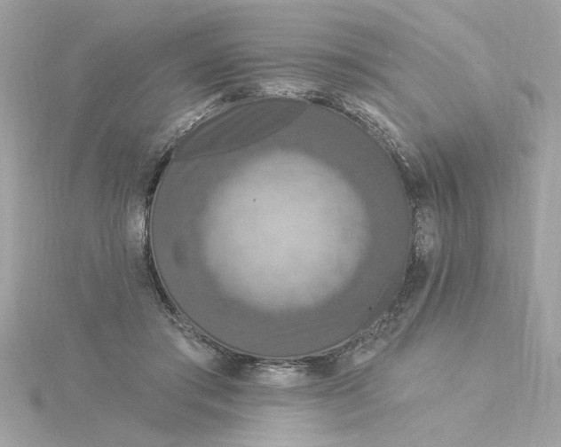 X0000116030405200912041939