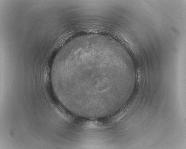 X0000116030408200912041939