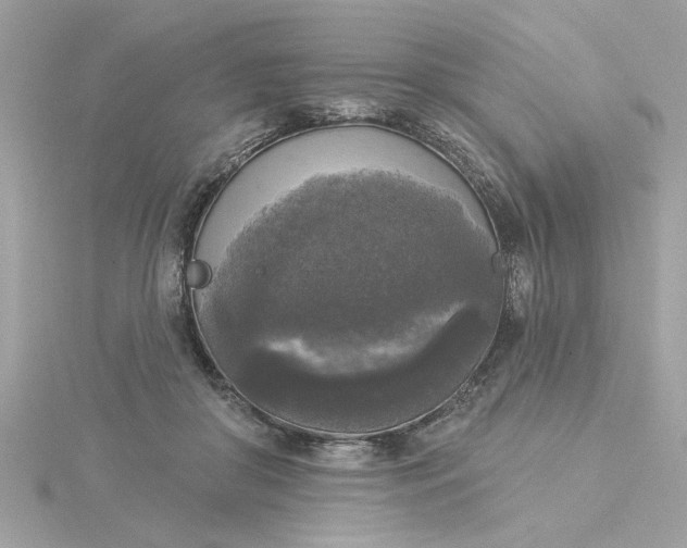 X0000116030410200912041939