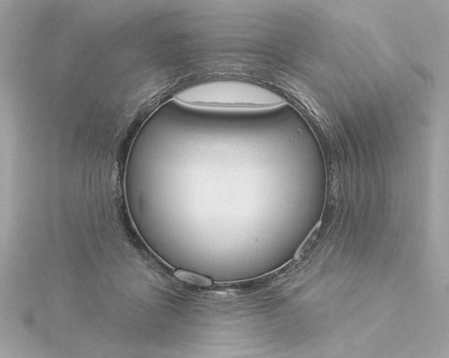 X0000116030411200912041939