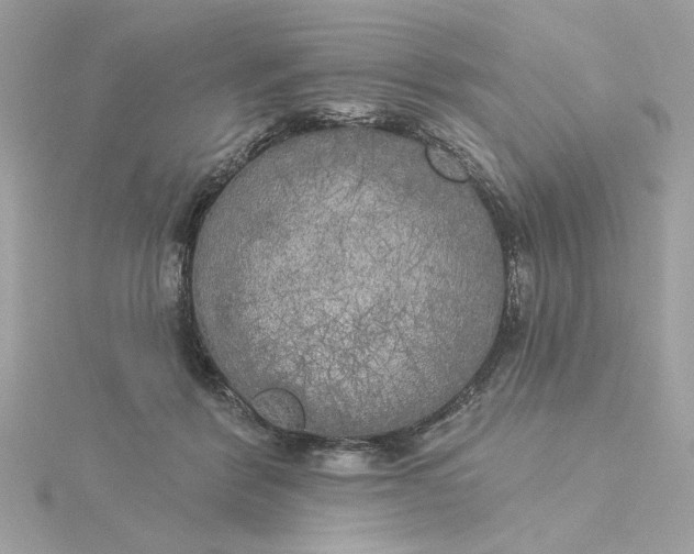 X0000116030412200912041939